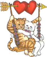 Hochzeitsschaukel